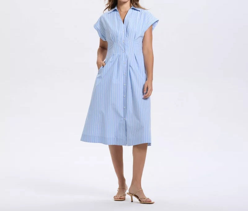 Blue & White Stripe Ruched Waist Cap Sleeve Midi Dress
